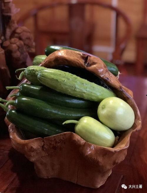 吃瓜康县网红,揭秘网络红人的魅力与争议