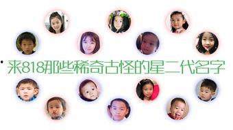 吃瓜网叫什么名字最好听,揭秘“吃瓜网”的别致命名之谜