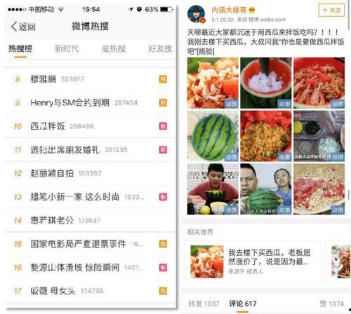 一个吃网红瓜的网站视频